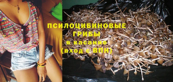 MDMA Волоколамск