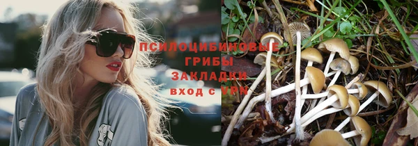 СК Снежинск