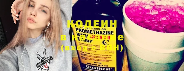 молекула духа Слюдянка